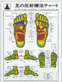 足の反射療法チャート